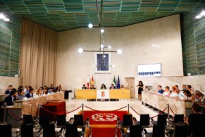 Imagen general de una sesión plenaria en la capital