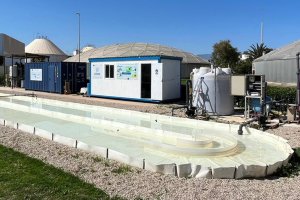 El taller mostrará los últimos hitos alcanzados en los proyectos LIFE ULISES y LIFE PHOENIX.