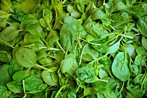 Espinacas.