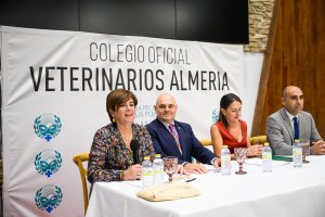 La mesa presidencial del acto.