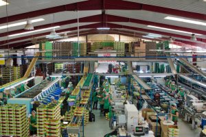 Trabajo de confección en una cooperativa almeriense.