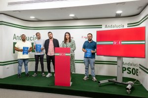 Noemí Cruz, ante el atril, en la rueda de prensa ofrecida ayer en la sede del PSOE.