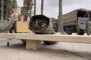 Montaje de carpas en Las Almadrabillas