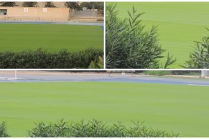 El Anexo vuelve a ser verde y estará para la vuelta al trabajo durante el Mundial.