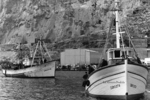 Trágico suceso en la mar.