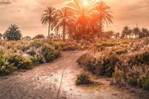 Esta es la imagen, de Blas Fuentes, que ilustra el cartel de las Jornadas.