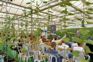 El III Congreso Inversolar se está desarrollando en un invernadero