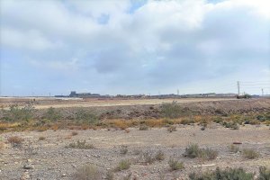 Una imagen de los trabajos que se realizan para la creación del centro de KWS en el municipio de El Ejido.