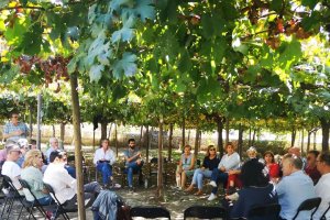 Cónclave bajo las parras de Terque para estudiar el futuro de los Museos. Foto de Mar Verdejo.