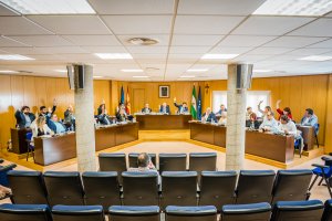 Sesión plenaria en la que se ha dado el visto bueno a las cuentas.