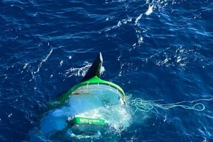 Barco hundido (Salvamento Marítima)