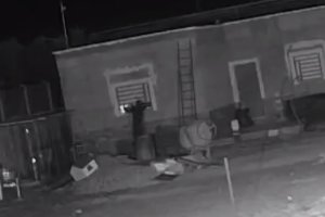 El ladrón, captado por la cámara justo antes de romper la ventana.