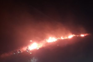 Imagen facilitada en redes sociales por el INFOCA.