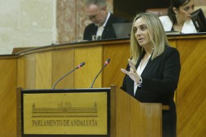 Marifrán Carazo en el Parlamento.