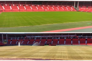 El antes y el después de la hierba del Estadio de los Juegos Mediterráneos.