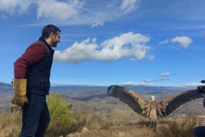 El consejero Ramón Fernández-Pacheco ha participado en la suela.