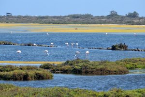 Imagen de archivo en Las Salinas.