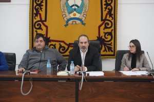 Imagen del pleno extraordinario celebrado en Carboneras.