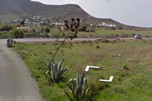 Pedanía de Los Albaricoques.