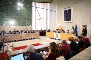 Pleno en el que se ha aprobado la ordenanza.