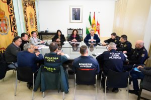 Junta Local de Seguridad realizada en el Ayuntamiento