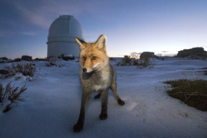La montaña más alta de Los Filabres da nombre al mayor observatorio astronómico de la Europa continental, Calar Alto.