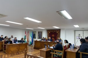 Imagen del Pleno Ordinario celebrado ayer en Pulpí.