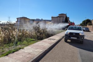 Fumigación contra la plaga de mosquitos en Roquetas de Mar.