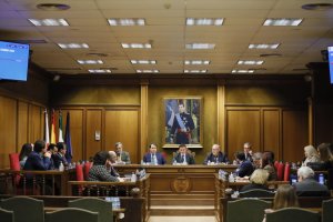 Imagen del pleno extraordinario en el que se ha aprobado el modelo de gestión del futuro MUREC.