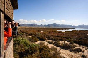Las Salinas de Cabo de Gata recuperan el agua.