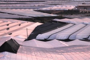 Imagen de archivo de invernaderos en la provincia de Almería.