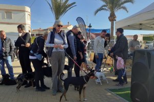 Algunos de los participantes al Campeonato Canino de Andalucía.