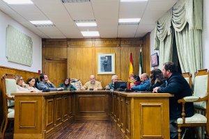 Un momento del pleno celebrado este lunes en Dalías.