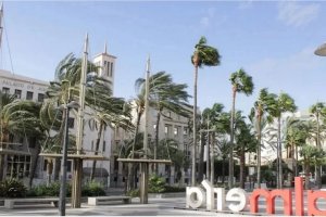 Imagen de una jornada de viento en la Rambla