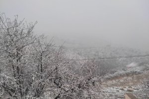 Nieve en Alcudia este martes.