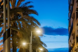 La renovación en el Paseo Marítimo de Aguadulce.