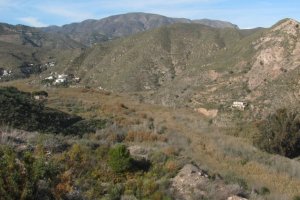 Ya se ha actuado en cerca de 7 km de cauce de los 7,5 km que tiene establecido el proyecto.