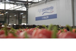 Agroponiente cuenta con más de 2.000 trabajadores.
