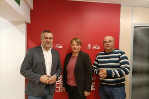 La nueva candidata del PSOE en Fines, Mari Ángeles Martos.