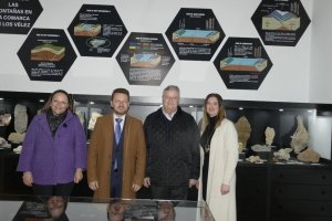 El delegado de Cultura visita el Museo Miguel Guirao tras las obras de reforma y ampliación.