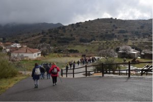 Foto de Almería Información de una ruta de senderismo realizada en la provincia.