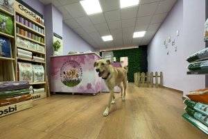 Martín, primer cliente de la peluquería.