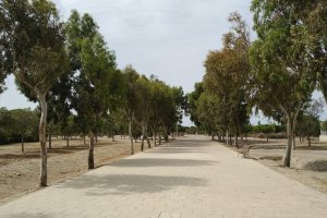 El Parque del Andarax acogerá una gran acampada de scouts de toda Andalucía.