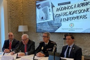 Presentación del plan integral contra las agresiones del Consejo de Enfermeros, a principios de este mes en Madrid.