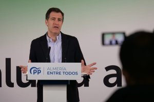 Miguel Ángel Castellón, diputado del PP.