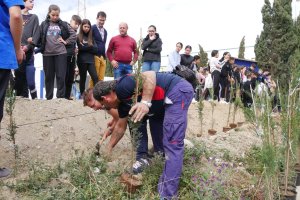 El Ayuntamiento y los estudiantes han plantado los árboles.