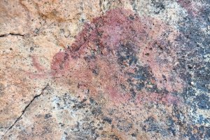 Pintura rupestre encontrada en un abrigo de Cabo de Gata