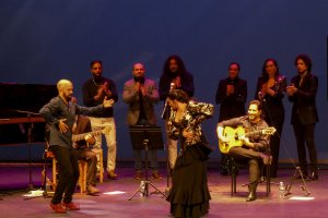Un momento de la fiesta flamenca del Niño Josele en el Auditorio.