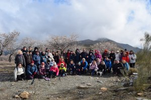 Foto de Almería Información de una de las rutas de almendro en flor por la comarca de Los Filabres.