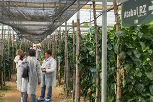 El 8 y el 9 de marzo las Jornadas en torno a Atabal RZ han sido un rotundo éxito